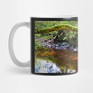 Colorful River Water With Tree & Light Reflections - Rural Scenery Mug